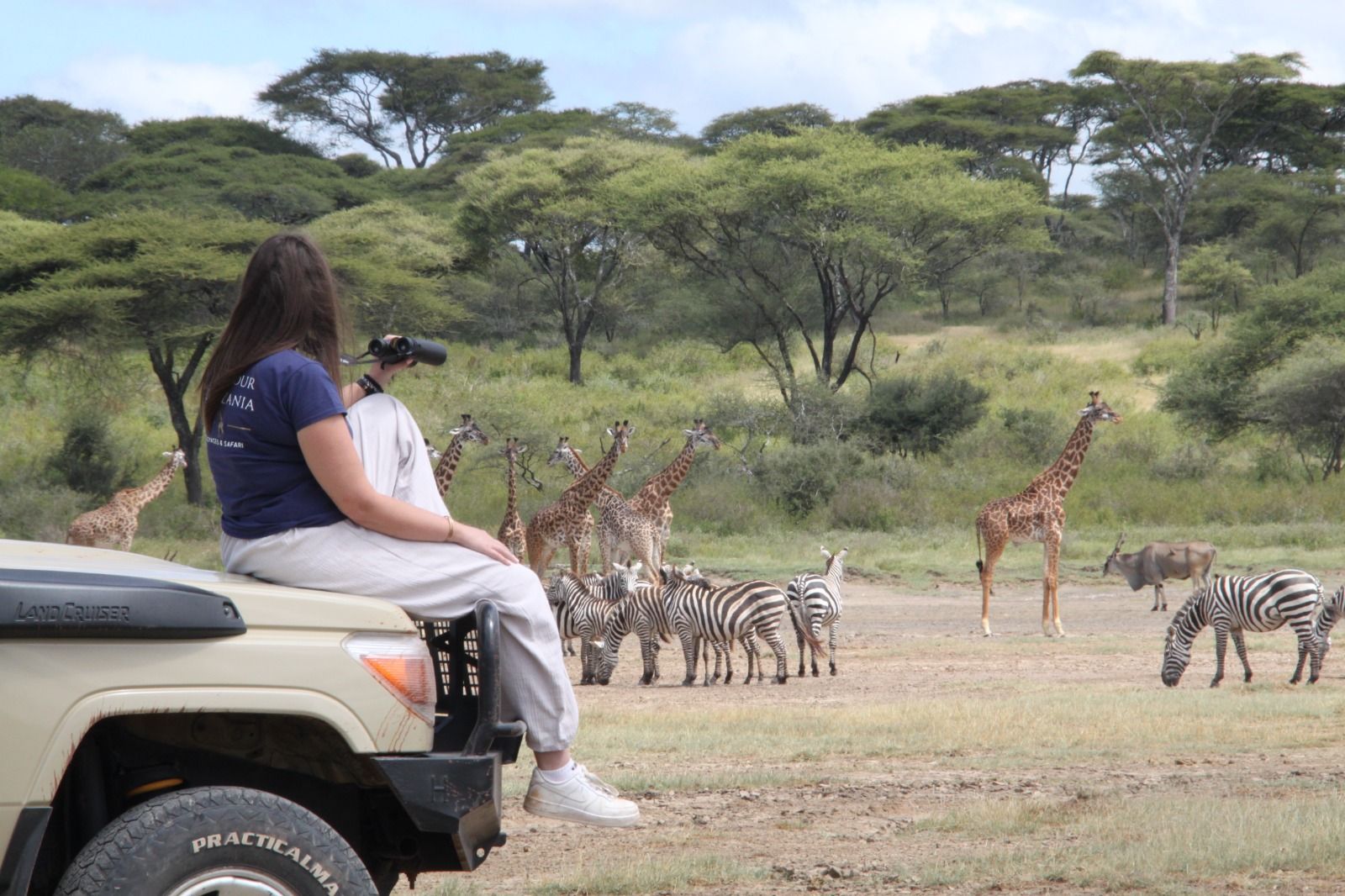 Samantha, assise sur le capot du 4x4, observe aux jumelles des girafes et des zèbres à Ndutu